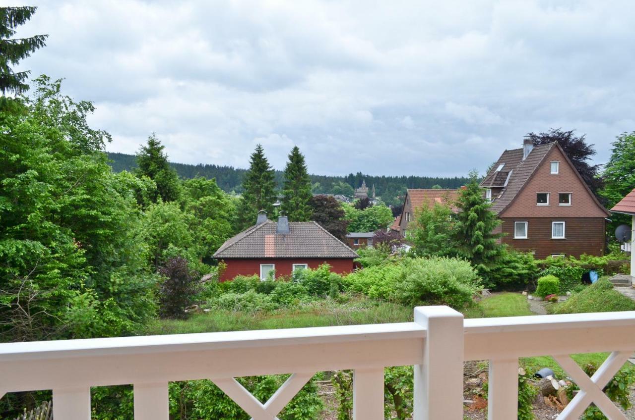 Ferienblockhaus Auerhahn & Luchs Villa Goslar Exterior foto